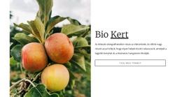 Bio Kerti Étel – Többcélú Kreatív Sablon