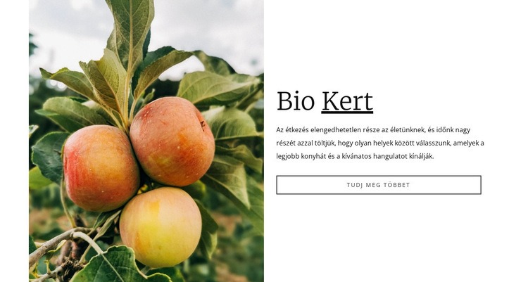 Bio kerti étel Weboldal tervezés