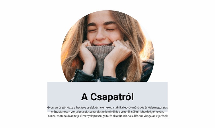 Csapat a kreatív stúdióban WordPress Téma