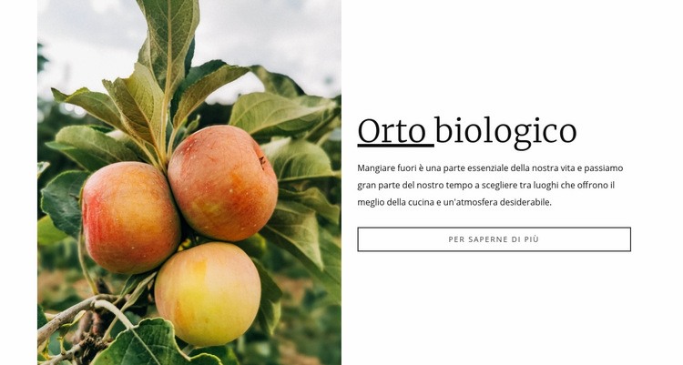 Alimenti biologici dell'orto Progettazione di siti web