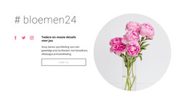 Bloemen Schoonheidssalon - HTML-Bestemmingspagina