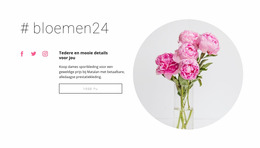 Bloemen Schoonheidssalon Joomla-Sjabloon 2024