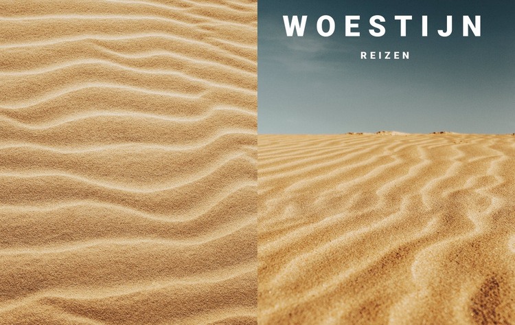 Woestijn natuur reizen Website ontwerp