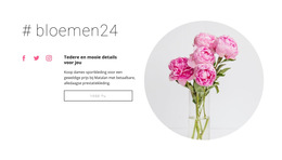 Bloemen Schoonheidssalon - Sjabloon Om Elementen Aan De Pagina Toe Te Voegen