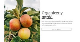 Uniwersalny Kreator Stron Internetowych Dla Organiczna Żywność Ogrodowa
