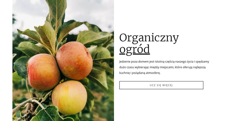 Organiczna żywność ogrodowa Makieta strony internetowej