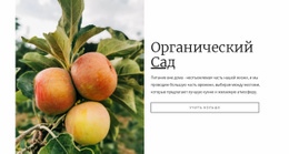 Органический Садовый Корм Чистый И Минималистичный Шаблон