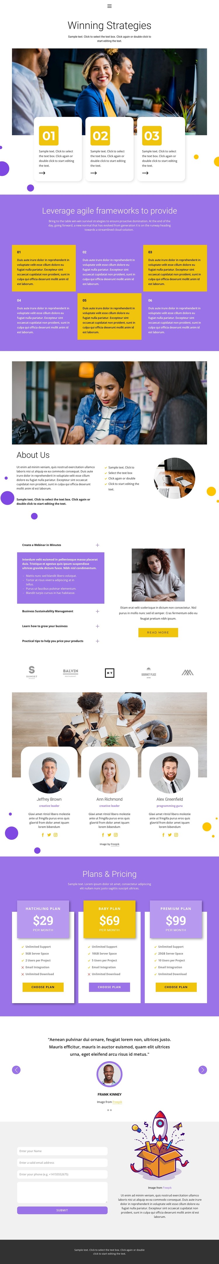 Winning strategy WordPress Theme