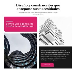 Diseño Y Construcción