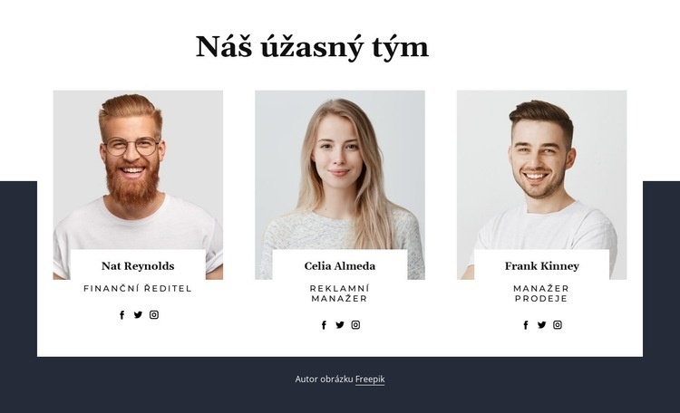 Naši úžasní lidé Webový design