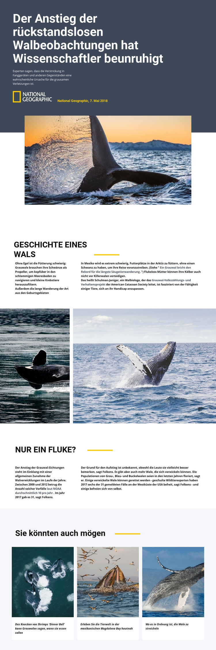 Walbeobachtungszentrum Website-Vorlage