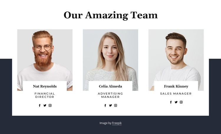 Our amazing people Elementor Template Alternative