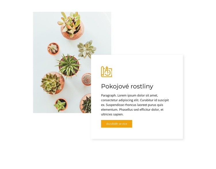 Pokojové rostliny Šablona webové stránky