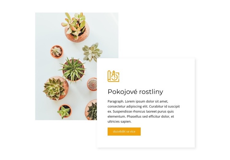 Pokojové rostliny Webový design