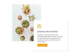 Plantas De Interior: Plantilla HTML Y CSS