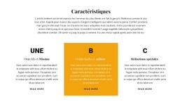 Superbe Conception Web Pour Titre Et Trois Fonctionnalités