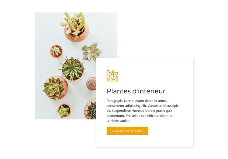 Plantes d'intérieur Conception de site Web