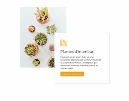 Plantes D'Intérieur - HTML Website Creator