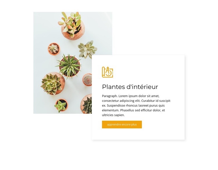 Plantes d'intérieur Créateur de site Web HTML