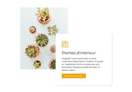 Page HTML Pour Plantes D'Intérieur