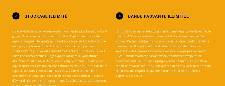 Deux blocs de texte avec des icônes Modèle CSS