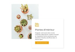 Plantes D'Intérieur - Modèle HTML Et CSS