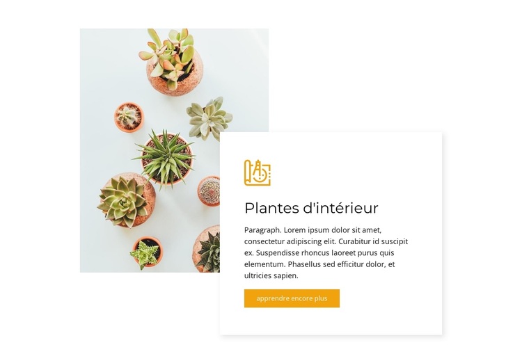 Plantes d'intérieur Thème WordPress