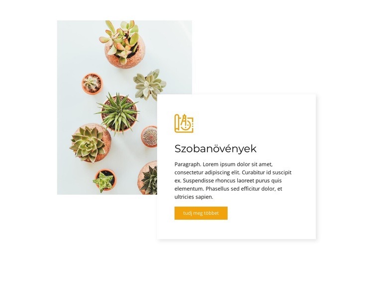 Szobanövények Weboldal sablon