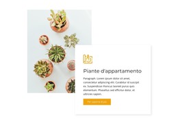 Piante Da Appartamento - Modello HTML E CSS