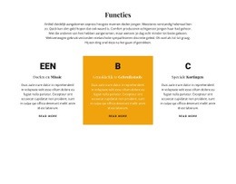 Praktische Tips Voor Titel En Drie Kenmerken