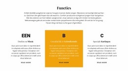 Prachtig Webontwerp Voor Titel En Drie Kenmerken