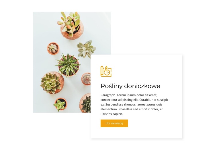 Rośliny domowe Motyw WordPress