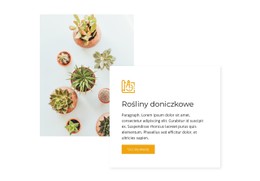HTML Strony Dla Rośliny Domowe