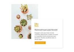 Комнатные Растения – Шаблон HTML И CSS