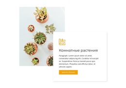 Комнатные Растения – Простая Тема WordPress