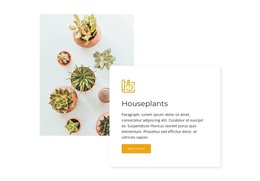 House Plants - Landing Page