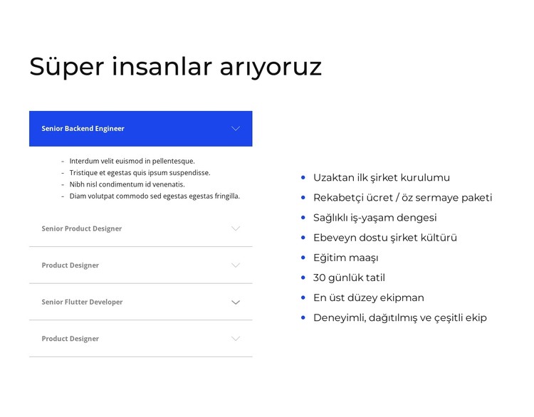 Akordeon ve Liste CSS Şablonu