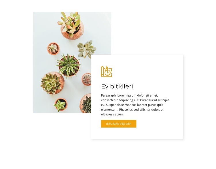 Ev bitkileri HTML5 Şablonu