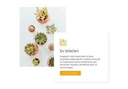Ev Bitkileri - Web Sitesi Şablonu Ücretsiz Indir