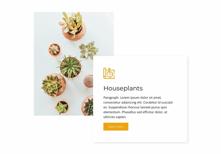 House plants Website Mockup