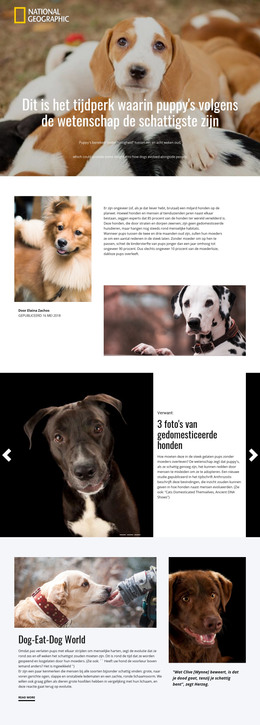 Leukste Huisdieren - HTML-Sjabloon Downloaden