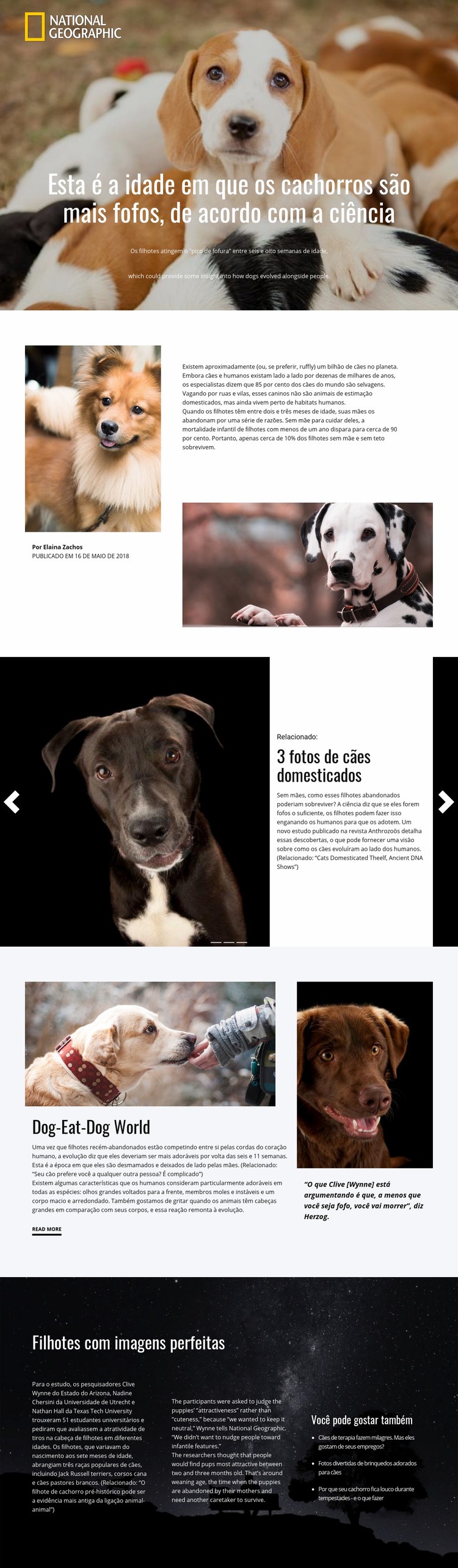 Animais domésticos mais fofos Design do site