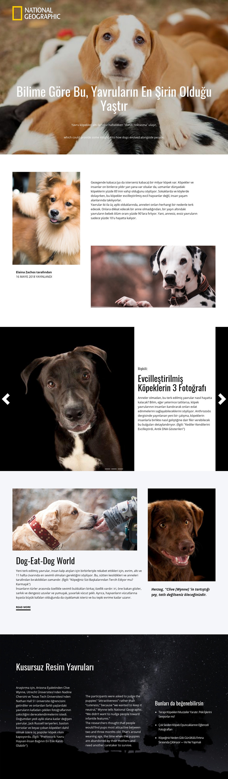En şirin evcil hayvanlar HTML Şablonu