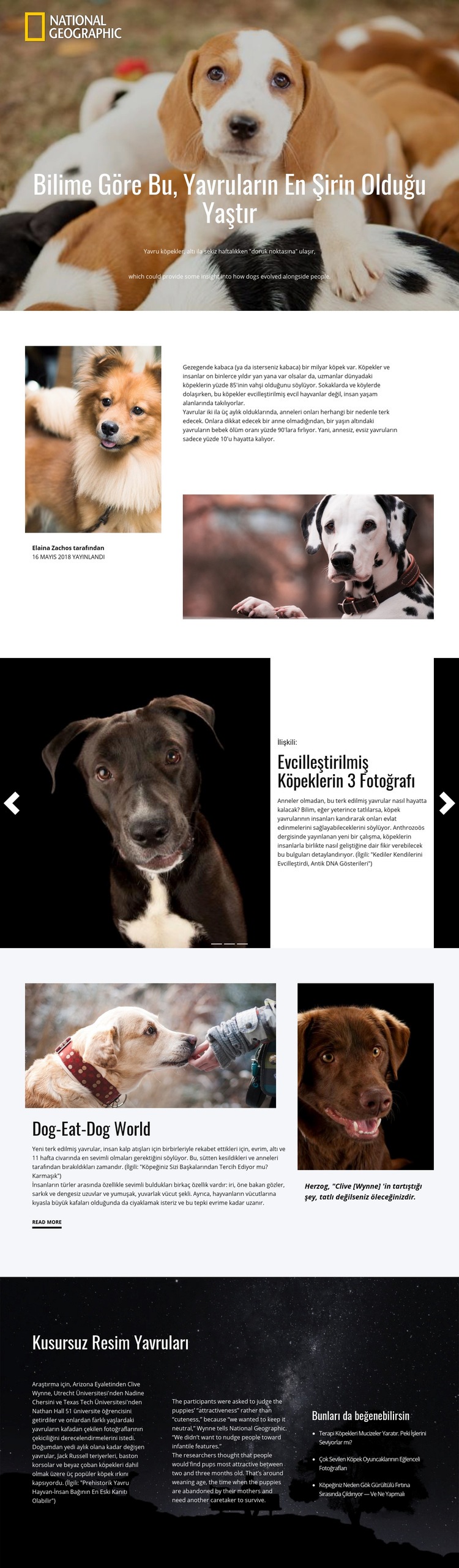 En şirin evcil hayvanlar HTML5 Şablonu