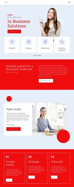 Jsme Odborníci Na Obchodní Řešení – Šablony Webových Stránek