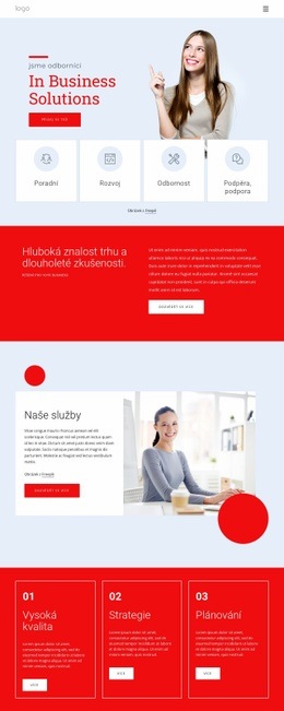 Jsme Odborníci Na Obchodní Řešení – Téma WordPress