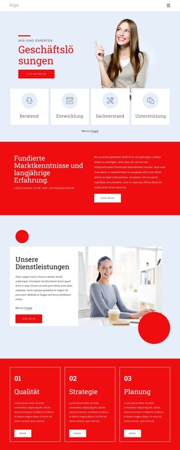 Wir Sind Experten Für Business-Lösungen – WordPress-Theme