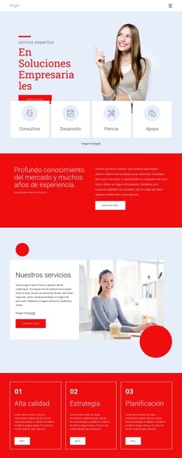 Somos Expertos En Soluciones De Negocio - Build HTML Website