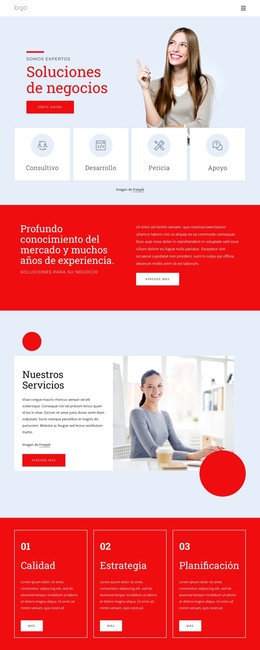 Somos Expertos En Soluciones De Negocio - Plantilla De Sitio Web Profesional