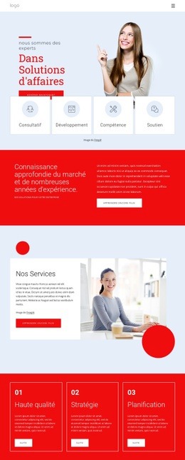 Nous Sommes Experts En Solutions D'Affaires - Créateur De Sites Web Ultime